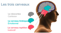 Excellence décisionnelle et gestion de crise. Analyse, anticipation, organisation, leadership, confiance, communication.