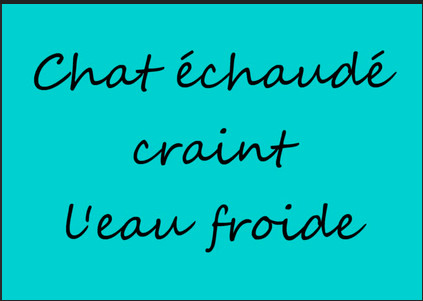 Chaque semaine, redécouvrez un proverbe français sous un angle nouveau, extrayant des leçons et des conseils pouvant s’appliquer à la gestion de crise.