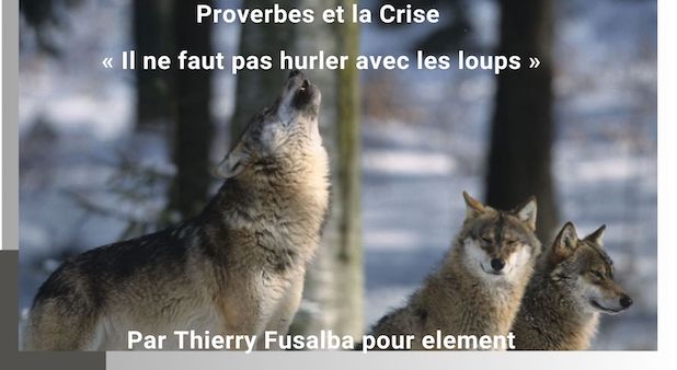 Proverbes et la Crise : « Il ne faut pas hurler avec les loups » Par Thierry Fusalba