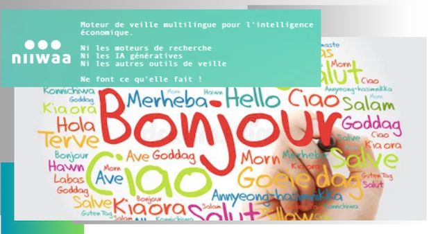 NIWAA. Veille multilingue