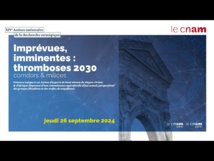 Géopolitique. Corridors et Milices : Analyse des Assises d’Experts du Moyen-Orient et d’Afrique. CNAM