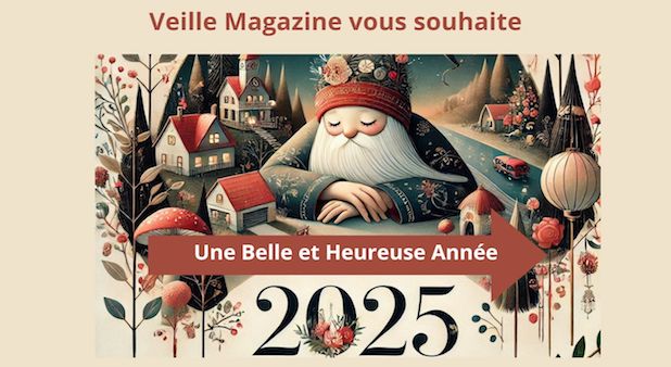 Copie de Toute l'équipe de Veillemag vous souhaite une belle et heureuse année