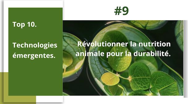 Top 1O. Technologies émergentes. #9. Révolutionner la nutrition animale pour la durabilité.